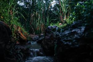 BIB: 
                            <button type="button" onclick="openModal(26206320)" class="btn btn-primary btn-sm float-right btn-popup" data-toggle="modal" data-target=".modal-high-quality">
                        <i class="fas fa-shopping-cart"></i> Add to Cart
                    </button>
                                            <button type="button" onclick="isThisMe(26206320, true)" class="btn btn-success btn-sm float-right btn-popup btn-isme hidden" data-toggle="tooltip" data-placement="bottom" title="นี่คือรูปของคุณใช่ไหม คลิกที่นี่เพื่อเอาเข้าอัลบั้ม">
                        <i class="fas fa-plus"></i> Add to album
                    </button>
                    <button type="button" onclick="isThisMe(26206320, false)" class="btn btn-warning btn-sm float-right btn-popup btn-isnotme hidden">
                        <i class="fas fa-ban"></i> Remove from album
                    </button>